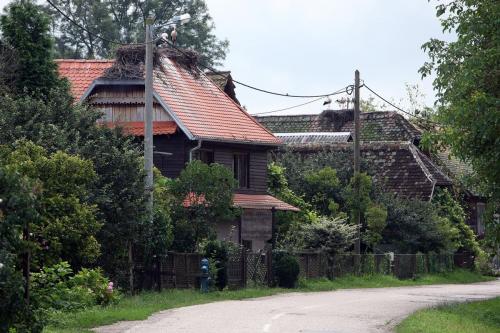 Lonjsko polje